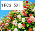 5ab1566d6297b4d555126756bec75486