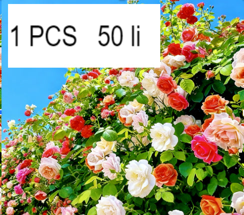 5ab1566d6297b4d555126756bec75486